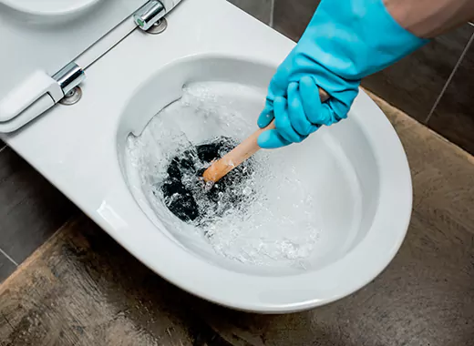 Drain Power Flush Services in Strathcona, Hamilton